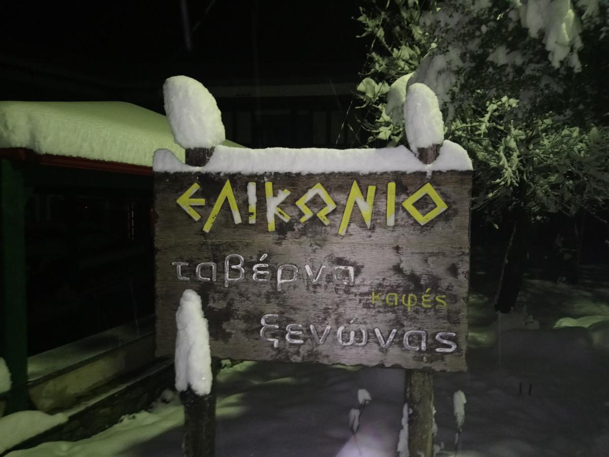 Elikonio Hotell Agia Anna  Exteriör bild